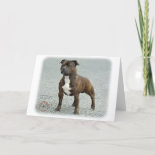 Staffordshire Bull Terrier Card