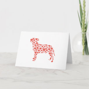 Staffordshire Bull Terrier Card