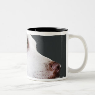 Staffordshire bull terrier, close-up Two-Tone coffee mug