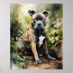 Staffordshire Bull Terrier Dog Art Print Poster