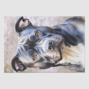 Staffordshire Bull Terrier Dog Tissue Paper