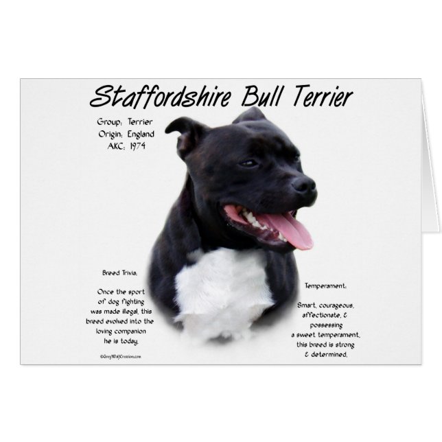 Staffordshire Bull Terrier History Design (Front Horizontal)