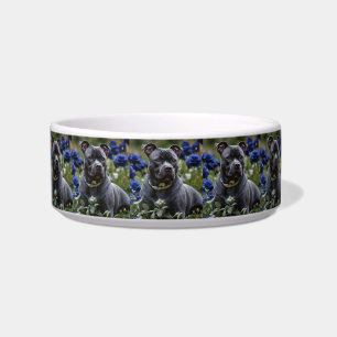 Staffordshire Bull Terrier In Blue Rose Garden,  Bowl