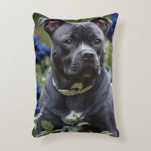 Staffordshire Bull Terrier In Blue Rose Garden,  Decorative Cushion