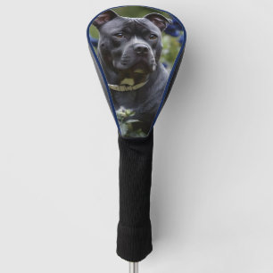 Staffordshire Bull Terrier In Blue Rose Garden, Golf Head Cover