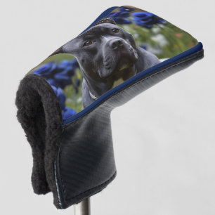 Staffordshire Bull Terrier In Blue Rose Garden, Golf Head Cover