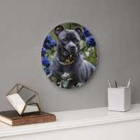 Staffordshire Bull Terrier In Blue Rose Garden,