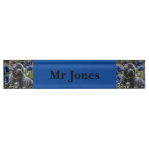 Staffordshire Bull Terrier In Blue Rose Garden,  Nameplate