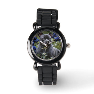 Staffordshire Bull Terrier In Blue Rose Garden,  Watch