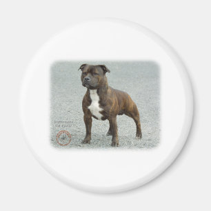 Staffordshire Bull Terrier Magnet