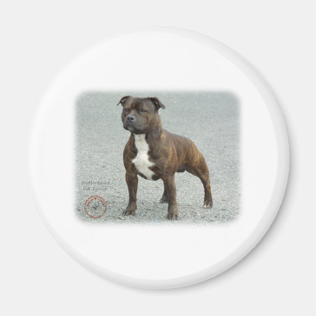 Staffordshire Bull Terrier Magnet (Front)