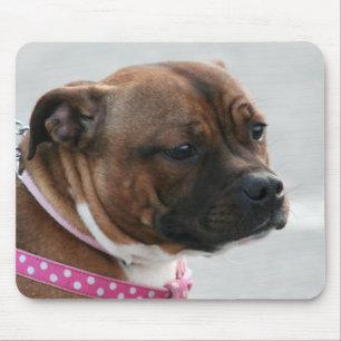 Staffordshire bull terrier mousepad