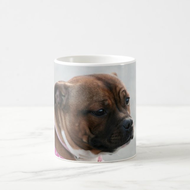 Staffordshire bull terrier mug (Center)