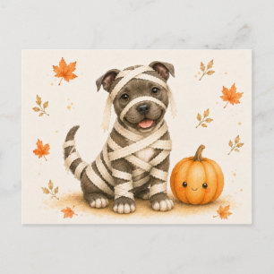 Staffordshire Bull Terrier Mummy Halloween Postcard