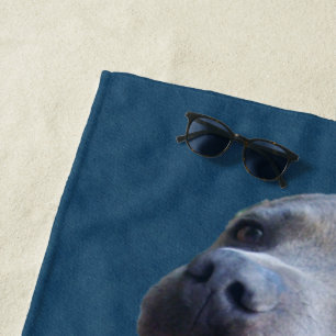 Staffordshire Bull Terrier On Denim , Beach Towel