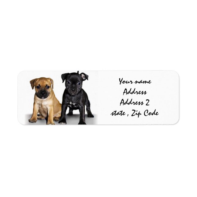 Staffordshire bull terrier puppies address labels (Front)