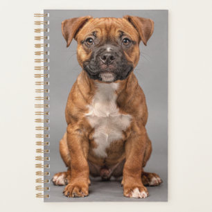 Staffordshire Bull Terrier Puppy Planner