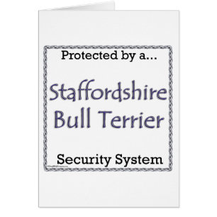 Staffordshire Bull Terrier Security System
