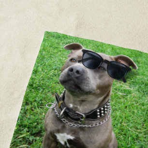 Staffordshire Bull Terrier Sitting At Attention,  Beach Towel