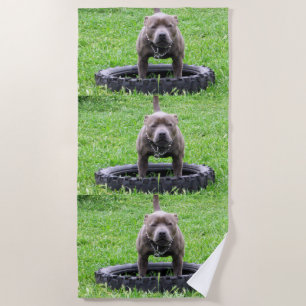 Staffordshire Bull Terrier Time To Play, Beach Towel