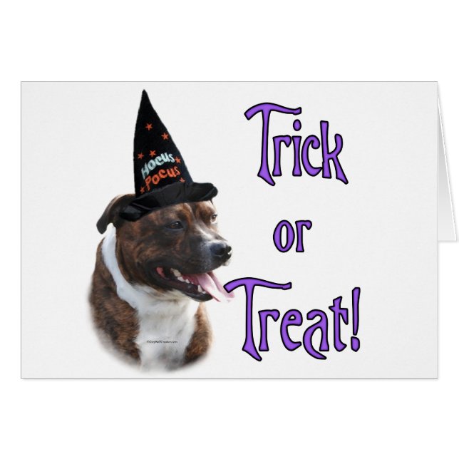 Staffordshire Bull Terrier Trick (Front Horizontal)