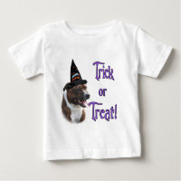Staffordshire Bull Terrier Trick