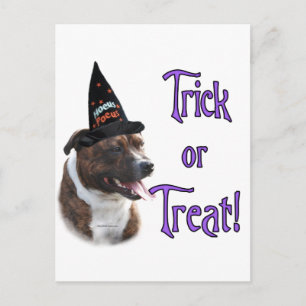 Staffordshire Bull Terrier Trick Postcard