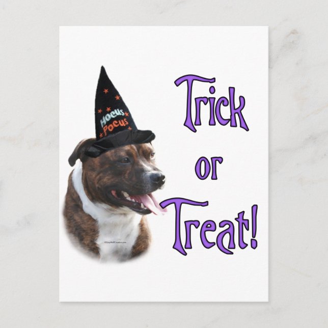Staffordshire Bull Terrier Trick Postcard (Front)