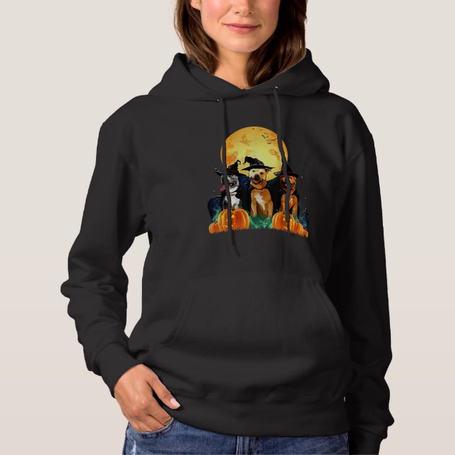 Staffordshire Bull Terrier Witch Pumpkin Halloween Hoodie (Front)