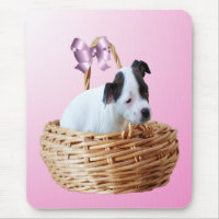 Staffordshire Puppy In A Basket,