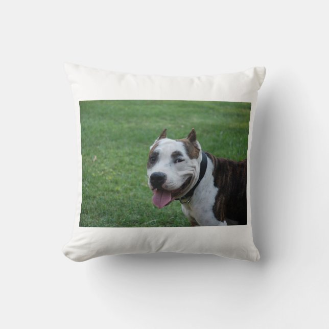 staffy 4.png cushion (Front)