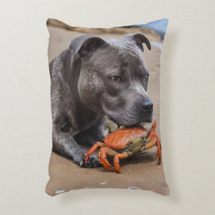 Staffy Is Friends With A Beach Crab, Decorative Cushion