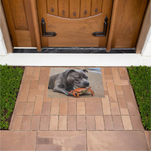 Staffy Is Friends With A Beach Crab, Doormat