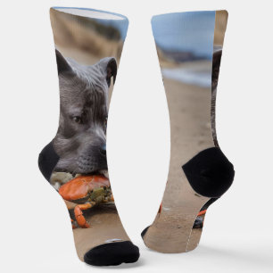 Staffy Is Friends With A Beach Crab, Socks
