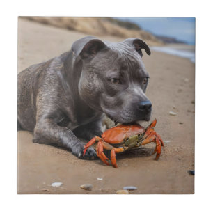 Staffy Is Friends With A Beach Crab, Tile