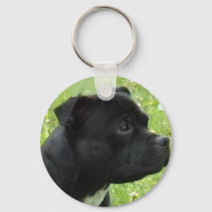 staffy.png key ring