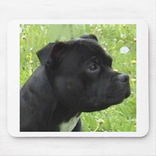 staffy.png mouse pad (Front)