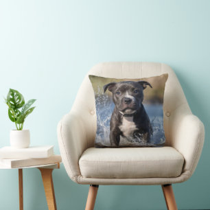 Staffy Puppy Splashing In The Sea,  Cushion