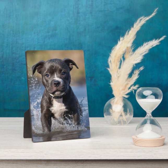 Staffy Puppy Splashing In The Sea, Plaque (Side)