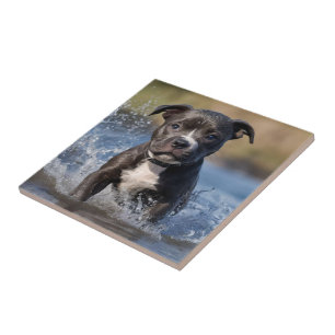 Staffy Puppy Splashing In The Sea, Tile