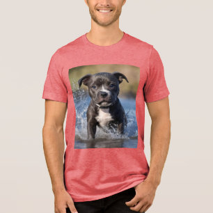 Staffy Puppy Splashing In The Sea, Tri-Blend Shirt