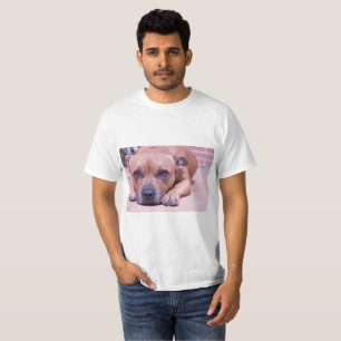 Staffy shirt