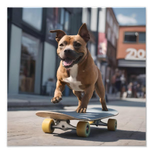 Staffy Skateboarder, Photo Print
