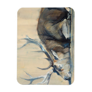 Stag 2014 magnet