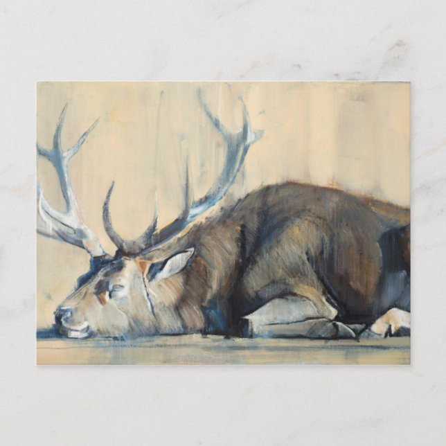 Stag 2014 postcard (Front)