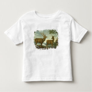Stag and hind in a wooded landscape toddler T-Shirt