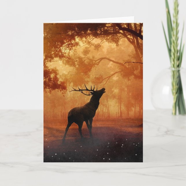 Stag at Sunset Card (Front)