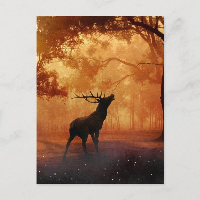 Stag at Sunset Postcard (Front)