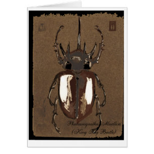 Stag Beetle Card