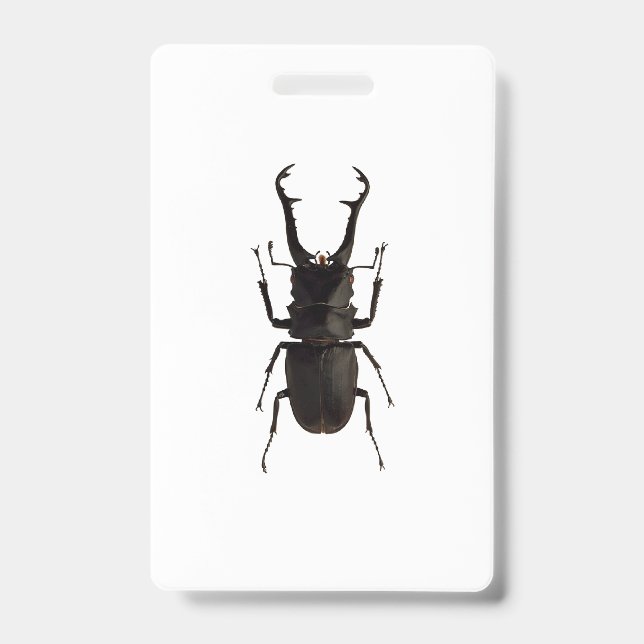 Stag Beetle ID Badge (Front)